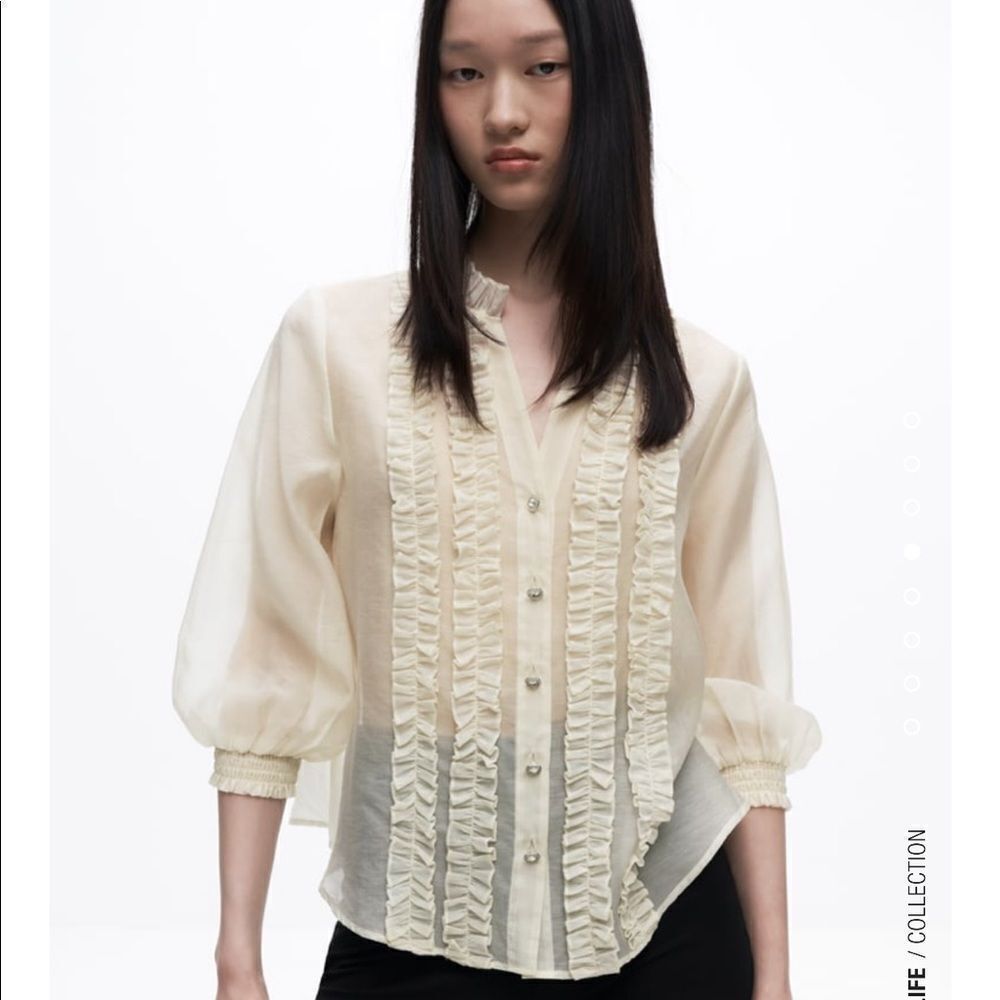 Zara sheer blouse with ruffles NWT